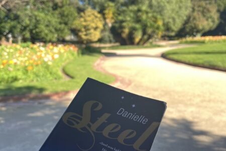 Sininen kirja ja takana vihreä puistomaisema