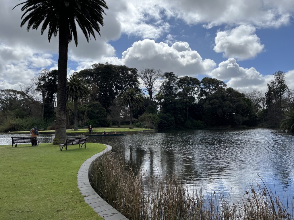 Roayl Botanic Garden Victoria Melbournessa: lampi, nurmikkoa ja puita
